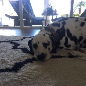 Meet your Posher, Mallory